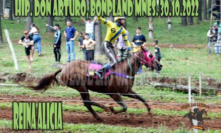EL REINADO EN EL DON ARTURO LE CORRESPONDIO A REINA ALICIA.