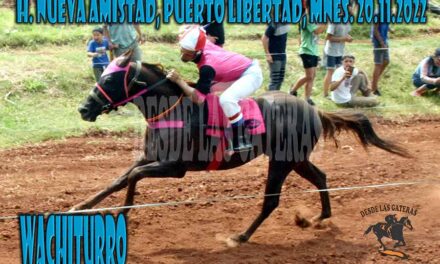WACHITURRO FUE EL MAS PROLIJO…