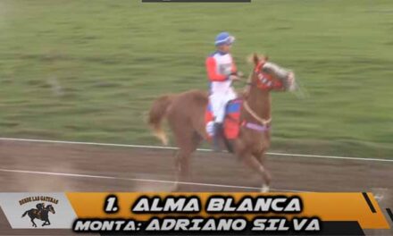 ALMA BLANCA NO PARA DE CRECER….