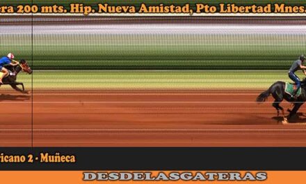 FOTOCHARTS Hipico NUEVA AMISTAD – 20-11-22