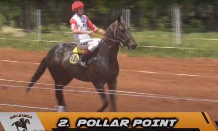POLLAR POINT VOLVIÓ A VENCER.