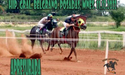 ANDUBO APRESURADA….