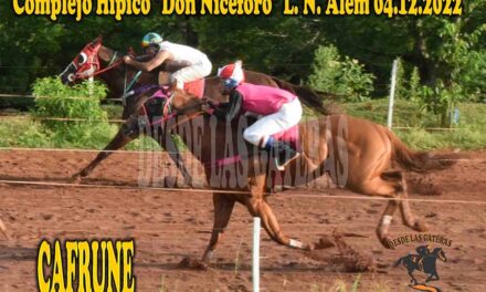 EL AUTORITARIO CANTO DE CAFRUNE…