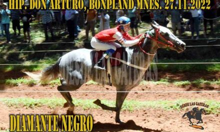 DIAMANTE NEGRO SIGUE BRILLANDO A LO GRANDE