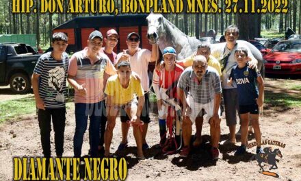 DIAMANTE NEGRO – DON ARTURO – 27-11-22