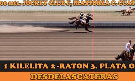 FOTOCHARTS FERNANDO IRASTORZA – 11-12-22