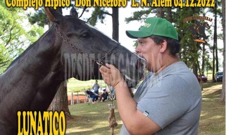 LUNATICO – DON NICEFORO – 4-12-22