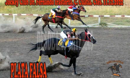 NINGUNA PLATA FALSA.