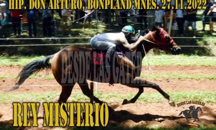 REY MISTERIO ESTIRO SU RACHA