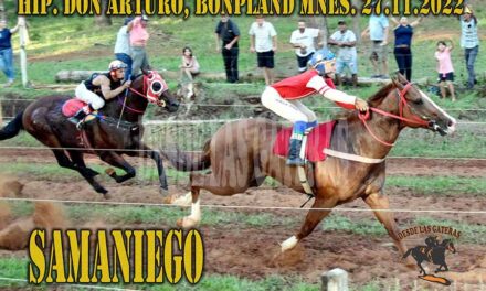 SAMANIEGO LE PUSO LA RUBRICA A UN AÑO ESPECTACULAR
