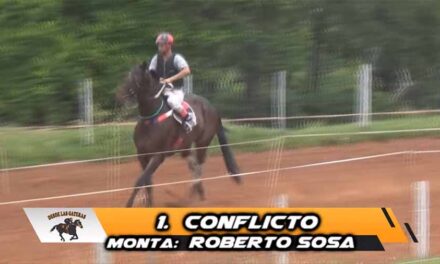 CONFLICTO NO QUISO PROBLEMAS..