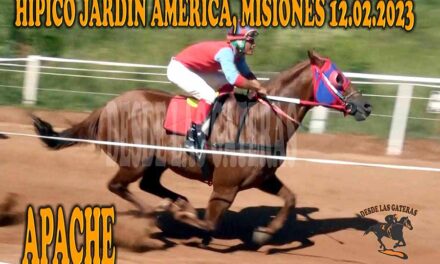 UNA CONQUISTA MAS DE APACHE…