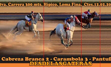 FOTOCHART LOMA FINA 12-2-23