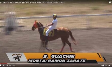 GUACHIN LO HIZO FÁCIL