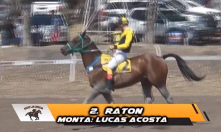 CON LA SAGACIDAD DE UN RATON…