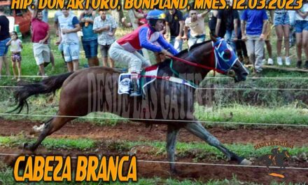 CABEZA BRANCA FUE UN CABEZA DURA