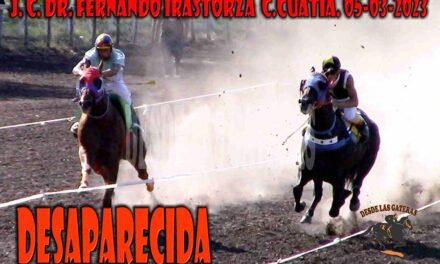LAS APARICONES DE DESAPARECIDA…