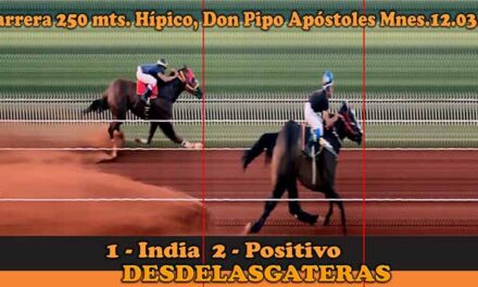 FOTOCHARTS DON PIPO 12-3-23