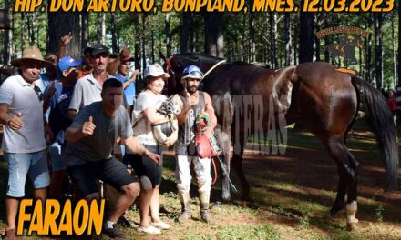FARAON – DON ARTURO – 12-3-23
