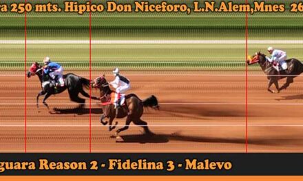 FOTOCHARTS DON NICEFORO 26-3-23