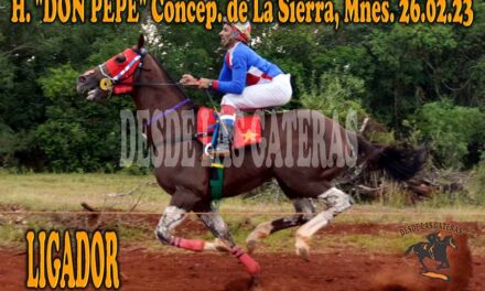 LIGADOR ESTUVO DE LIGA….