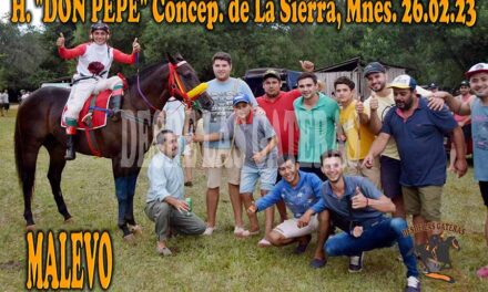 MALEVO – DON PEPE – 26-2-23
