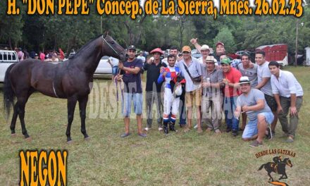 NEGON – DON PEPE – 26-2-23