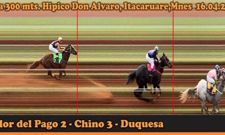 DON ALVARO 16-4-23
