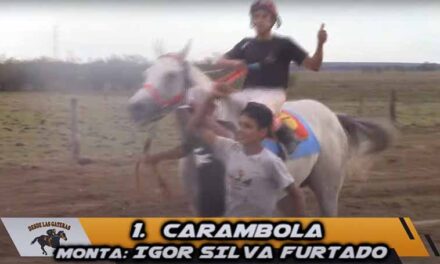 CARAMBOLA DE LUJO…