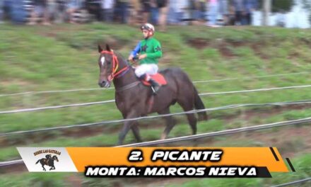 PICANTE LE PUSO EL CONDIMENTO JUSTO…