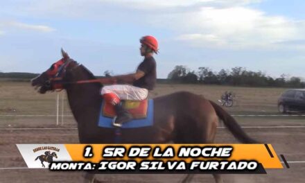SR DE LA NOCHE APARECIO EN LA TARDECITA…