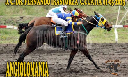 LA MANIA DE ANGIOLOMANIA….