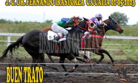 CON BUENA LETRA BUEN TRATO ESCRIBIÓ SU NOMBRE EN LA POLLA DEL HARAS PUNTA DE ORO/LA PIRAÑA..