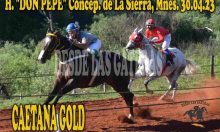 HIZO LAS COSAS SIMPLES CAETANA GOLD…