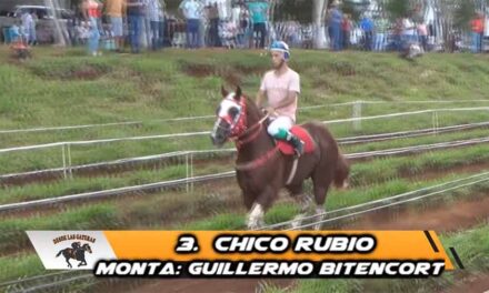 CHICO RUBIO TIÑÓ CON SU PELAJE LA CARRERA..