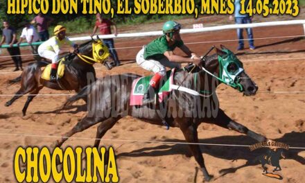 EL SABOR DULCE DE CHOCOLINA…