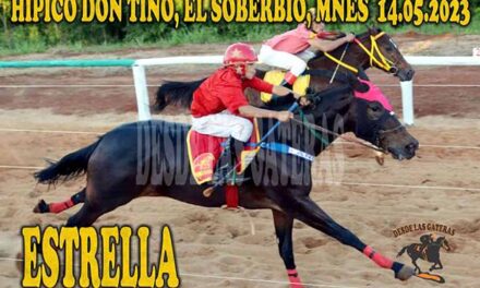UNA ESTRELLA LOS GUIÓ AL TRIUNFO EN EL DON TINO…