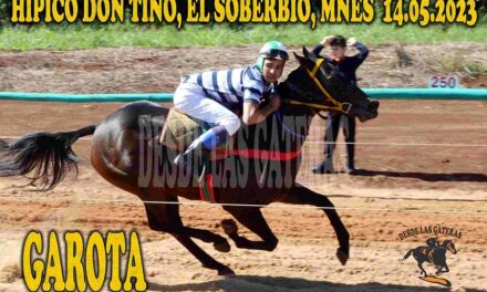 LA CARRERA SE TIÑO DE GAROTA…