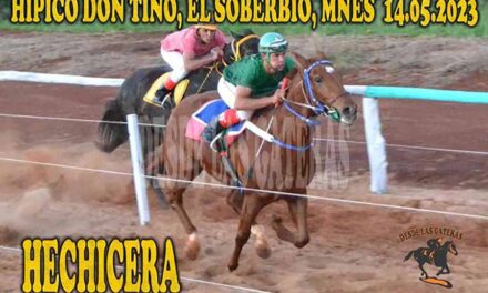 EL POTENTE PODER HECHICERO DE HECHICERA…