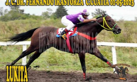 LUKITA COTIZO EN ALZA…