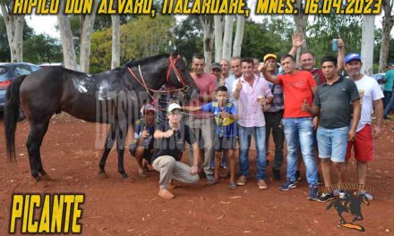 PICANTE – DON ALVARO – 16-4-23