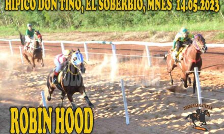 LA DESTREZA Y LA GARRA DE ROBIN HOOD…