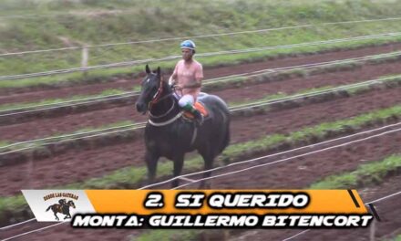 SI QUERIDO NO SE AMILANÓ….