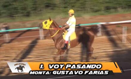 PASO DE LARGO VOY PASANDO…