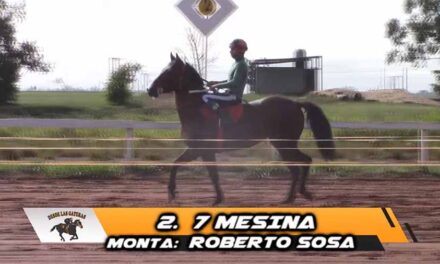 7 MESINA LO DEFINIO EN EL ULTIMO SALTO…