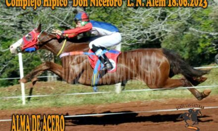 ALMA DE ACERO ENDURECIO SU ALMA Y SALTO A LA VICTORIA…