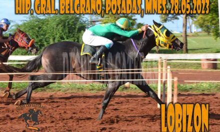 EN EL BELGRANO LOBIZON SALIO DE ANDANZAS POR LA TARDE…