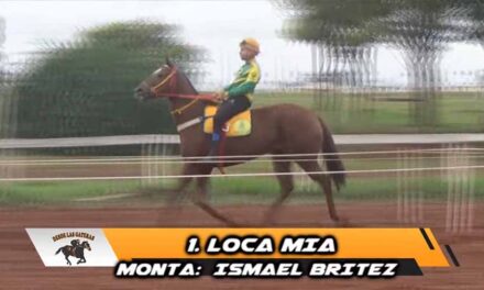 UNA MUY LOCA MIA….