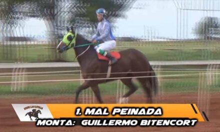 CON LOS CABELLOS AL VIENTO MAL PEINADA