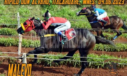 MALEVO LUCHO Y GANO…